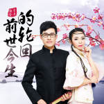 赵真-错的是我不是她 DJ何鹏 dj音乐