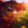  Watermark　水印