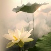 致青春