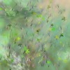 因为爱着你 -龙梅子