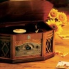 Honey Bee - Blake Shelton