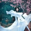 Opaline 迪什沃勒