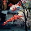 拳皇99草藄京背景音乐