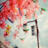 吻别 聆听极品人声