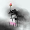 幻阵入魂 Magic array into the soul