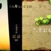 玻璃杯 