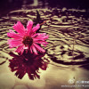 Break 气氛 Money Honey-Lady GagaL