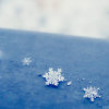 断桥残雪-《发烧唱片 Hi-Fi女声CD2》