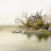 Ron Korb-Todaiji