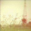 让泪化做相思雨（交谊舞平四舞曲大全）