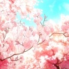 晚秋(慢四)（慢四,慢四交谊舞曲,慢四交谊舞曲）