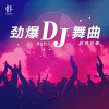恰恰 貌美如花（恰恰舞曲 - 恰恰舞曲大全）