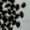 Corona Rhythm Of The Night Space G Electro Remix