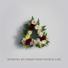 Colours Of The Rainbow(越南DjAk Rmx) 男ElectroHouse