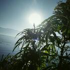 郭玲-迷茫的爱djclub