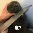 王绎龙-摇摆哥
