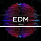 暴林&乔玲儿 - 爱你爱到月亮上(Dj伟伟 ProgHouse Mix国语合唱)