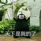 白雪 - 久别的人(Dj欧东 Electro Mix国语女)
