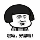 贺敬轩 - 罗曼蒂克的爱情(DjSZ仔 ProgHouse Mix国语女)