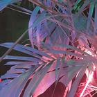 金牌节奏多元素风驰电掣MUSIC慢摇大碟