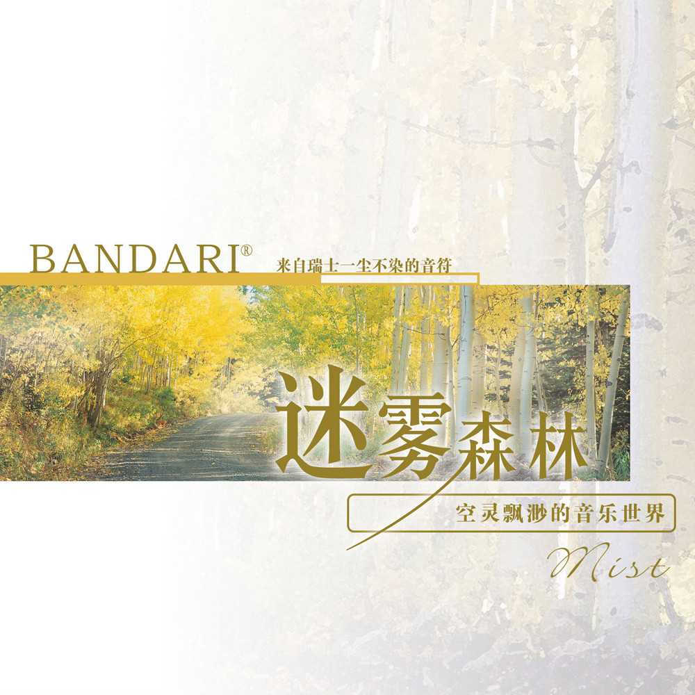 放松音乐 _《迷雾森林Forest Mist》mp3