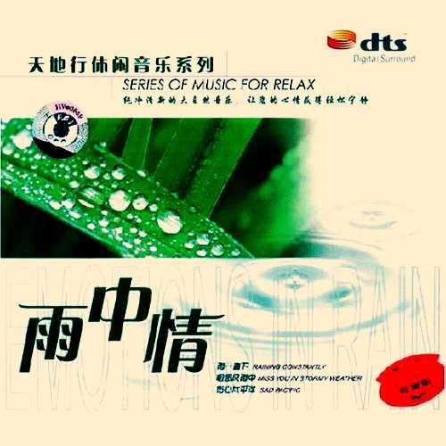 纯净清新的休闲音乐-群星《雨中情》