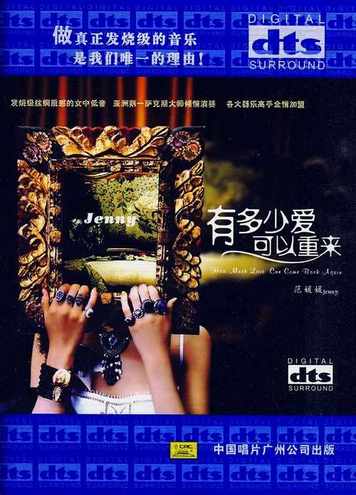 经典流行歌曲女中低音《有多少爱可以重来》范媛媛