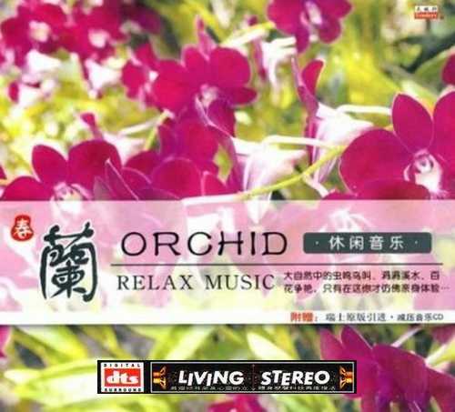 节奏舒缓的音乐 休闲音乐·兰 