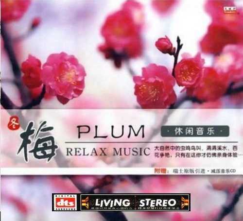 节奏舒缓的音乐 休闲音乐·梅 