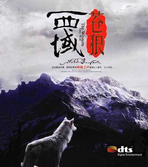 车载发烧效果《西域苍狼》聆听沐浴西域风情