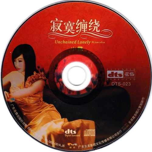 美国DTS-ES6.1超级解析制造《寂寞缠绕》风情万