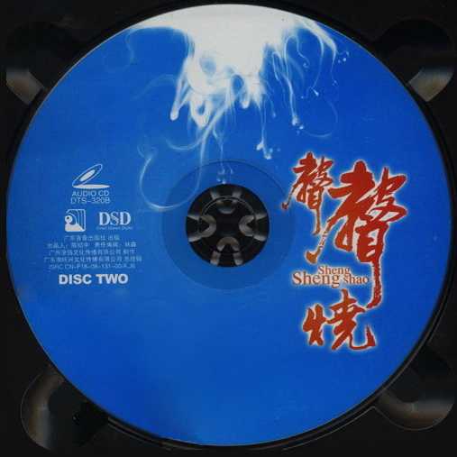 发烧极品(声声烧2)顶级逼真6.1环绕声享受